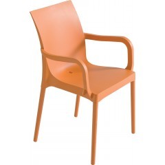 Plastová židle DESIGNE 24 s područkami - nosnost 120 kg - výběr barvy plastu