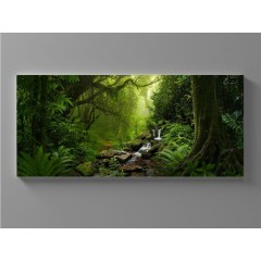 XXL Obraz deštný prales - výběr velikostí
