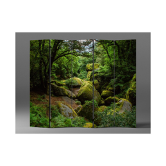 Paraván Kameny v lese - 225x180 cm
