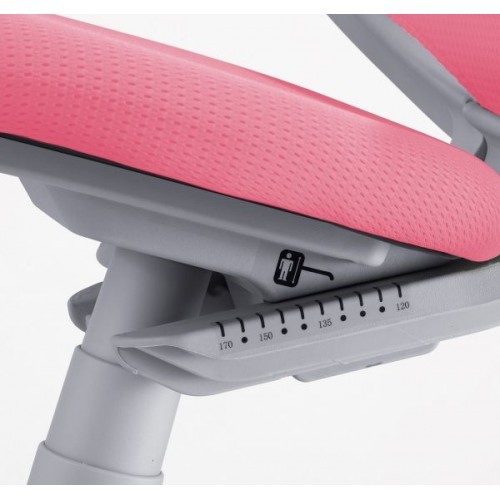 Dětská rostoucí židle SMARTY 2416