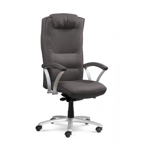 Manažerské křeslo - 2488 C
