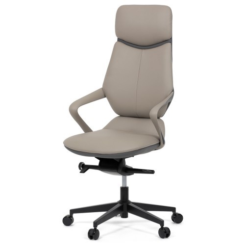 Kancelářské křeslo REY - nosnost 120 kg 