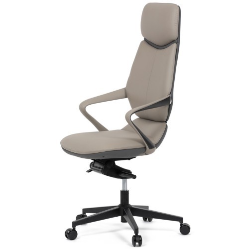 Kancelářské křeslo REY - nosnost 120 kg 