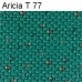 Aricia T 77